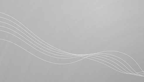 Portfolio #1